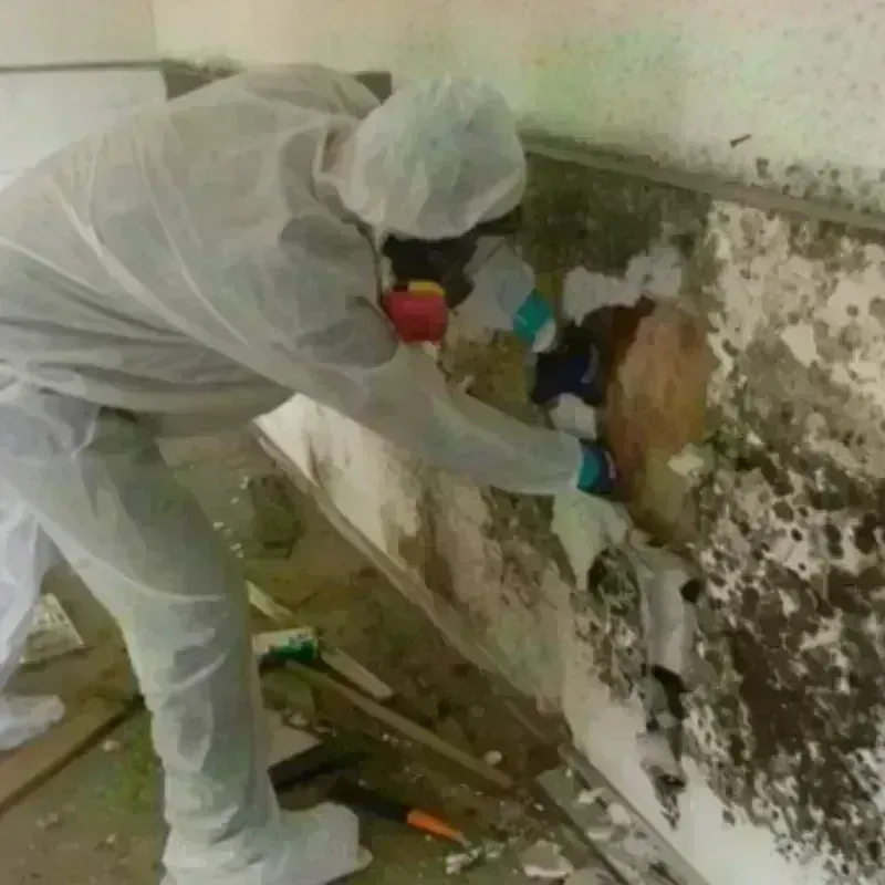 Mold Remediation and Removal in Lee Acres, NM