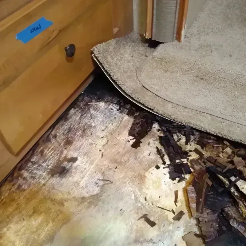 Best Wood Floor Water Damage Service in Lee Acres, NM